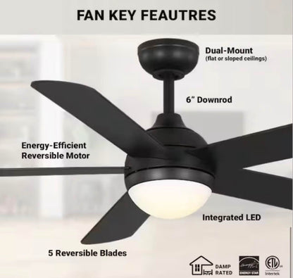 Hampton Bay Morland 52 in. Smart Indoor/Covered Outdoor Matte Black Ceiling Fan with Remote and Integrated LED Powered by Hubspace